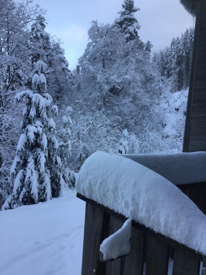 Hotel Restaurant La Fourmi Bourbach-le-Haut 外观 照片