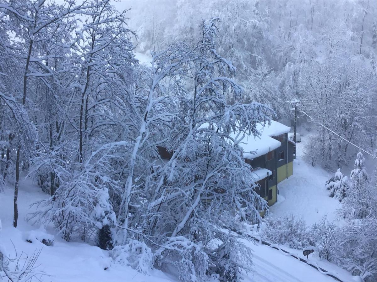 Hotel Restaurant La Fourmi Bourbach-le-Haut 外观 照片